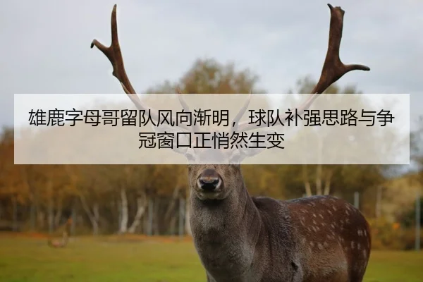 雄鹿字母哥留队风向渐明，球队补强思路与争冠窗口正悄然生变